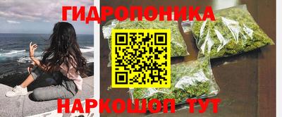 шишки Краснознаменск
