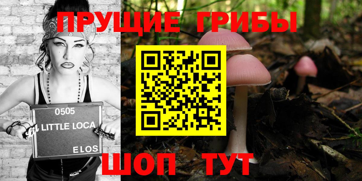 как найти   Вход с VPN  Губаха  Галлюциногенные грибы ЛСД 