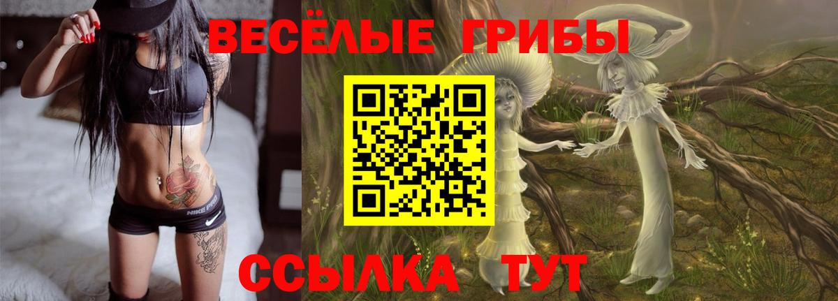Галлюциногенные грибы прущие грибы Губаха